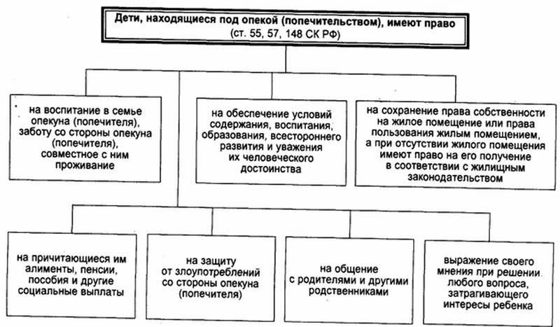 Опека и попечительство схема